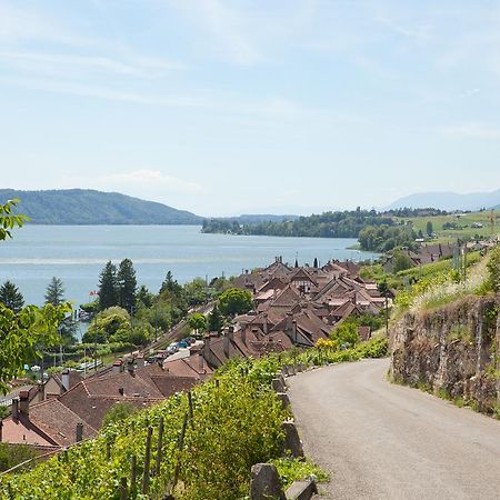 Alpes Et Lac La Neuveville Ngoại thất bức ảnh