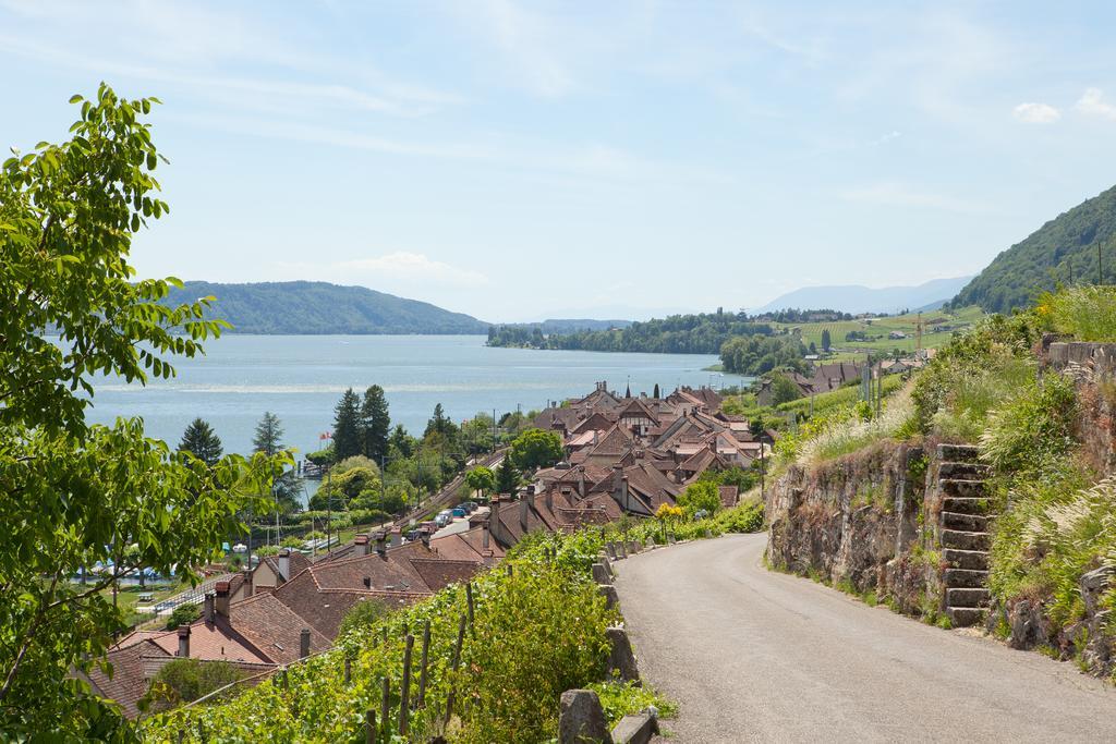 Alpes Et Lac La Neuveville Ngoại thất bức ảnh