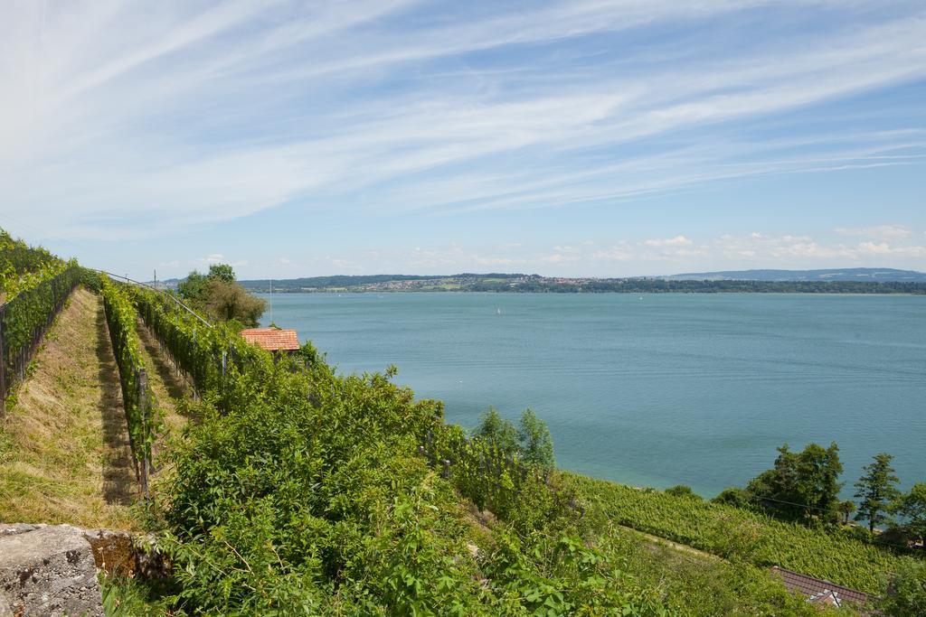 Alpes Et Lac La Neuveville Ngoại thất bức ảnh